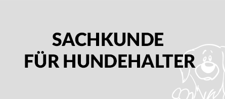 Teaser-sachkunde